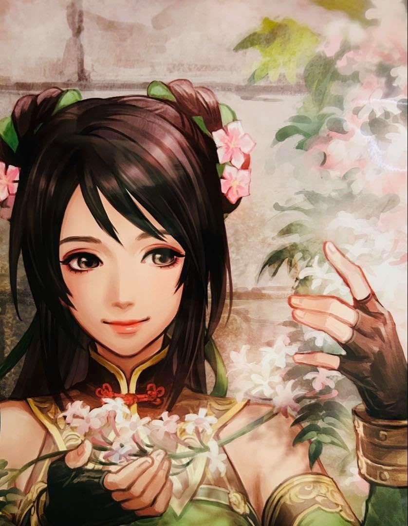 真 三国無双 英傑伝 トレジャーボックス ロングポスターコレクション